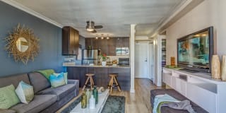 Skyline 1801 Gallery 4