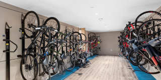 Cirro King of Prussia Gallery 47