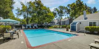 Canyon Creek Gallery 1