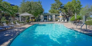 Treehouse Apartments Gallery 40