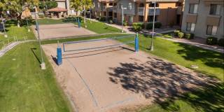 Palms on Scottsdale by Mark-Taylor Gallery 9