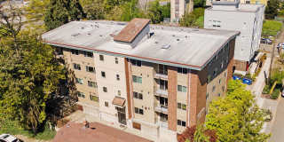 Maplewood Gallery 11