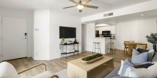 Parklane Commons Gallery 6