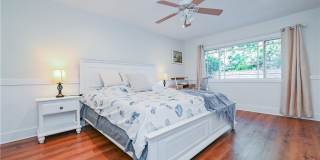 15 Camphor S Gallery 5