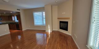 Luxury, Spacious 1 bedroom Apartment in Boulder at the Famous Peloton Gallery 7