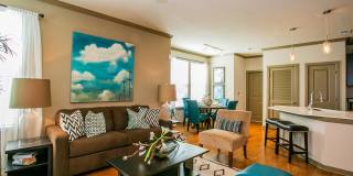 Aliso Briar Forest Gallery 12