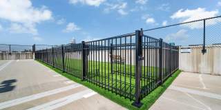 Alta Purl Gallery 62