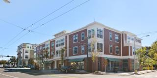 The Bradford Gallery 38