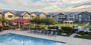 Ironwood at Happy Valley Gallery 49