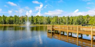 Oasis at Shingle Creek Gallery 26