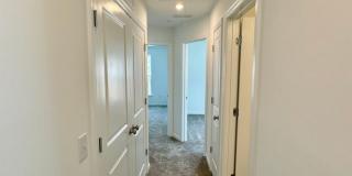 Brand New Townhome in Pringle Town Gallery 18