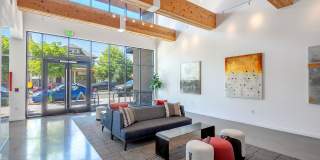 Solace Gallery 20
