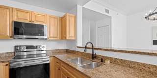 687 Hibiscus Street Gallery 11