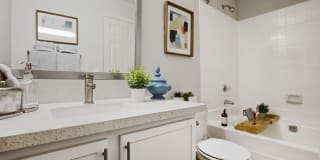 Allanza at the Lakes Gallery 26