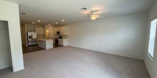 Tara Serena #5461 - Brand New Construction Gallery 11