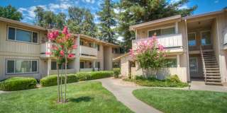 Alamont Apartments Gallery 1