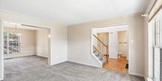 18512 FIDDLELEAF Terrace Gallery 7