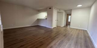 Kensington Court Gallery 24
