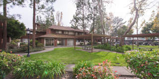 Country Club Village Gallery 1