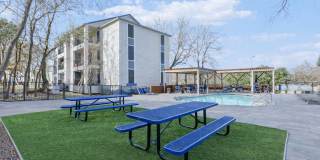 Treehouse Gallery 21