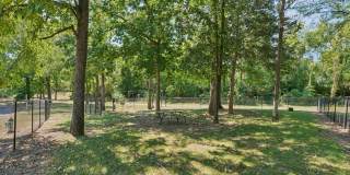 Piccadilly Gallery 11