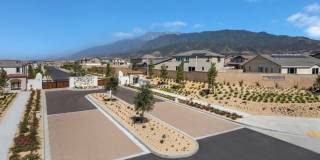 16659 Crocus Ln Gallery 1