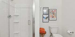 Hamlet Wildlight Gallery 16