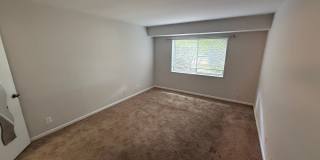 Spacious Ground Floor Condo in Silver Spring Gallery 11