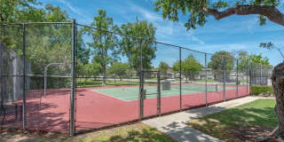 1794 Aleppo Court Gallery 23