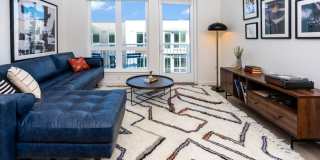 Alexan Main Street Gallery 20