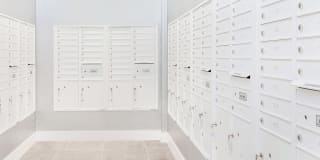 The Palmer Dadeland Gallery 35