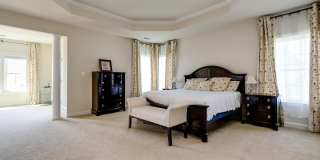 42463 PINE FOREST Drive Gallery 15