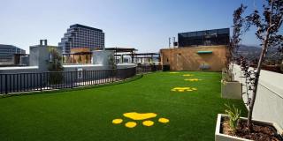 Eleve Apartments Gallery 19