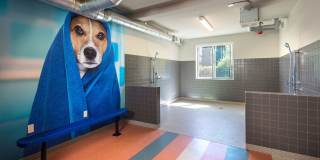 Blu Harbor by Windsor Gallery 52