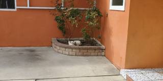 3 bed/3 bath + LARGE BONUS ROOM and YARD for Assisted Living/Sober Living/Detox/Rehab Facility. Gallery 30