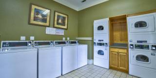 Avonlea Tributary Gallery 32