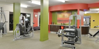 Mira Upper Rock Gallery 65