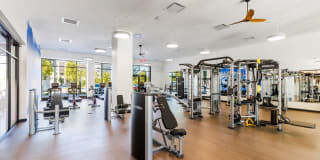 The District Gallery 13