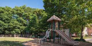 Springfield Gardens Gallery 5