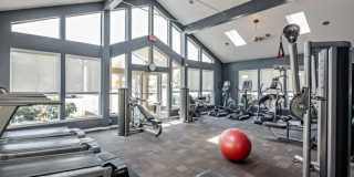 The Vista Apartments Gallery 10