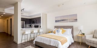 Windsor Riverfront Park Gallery 17