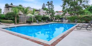 The Terrace Apartments Gallery 3