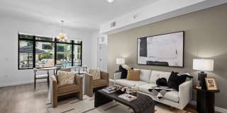 Aster & Links Gallery 95