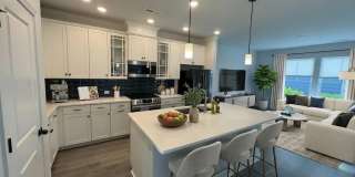 335 Ladybird Lane Gallery 1