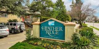 Heather Ridge Gallery 1