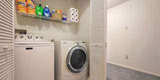 114 THAMES Drive Gallery 15