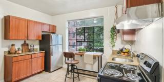 Cameron Court & Shelton Gallery 1