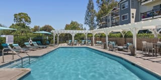 The Avenue at Carlsbad Gallery 1