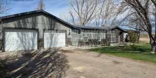 Cute 4 bedroom 2 bath room house Gallery 1