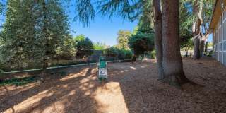 Park at Allen Gallery 28
